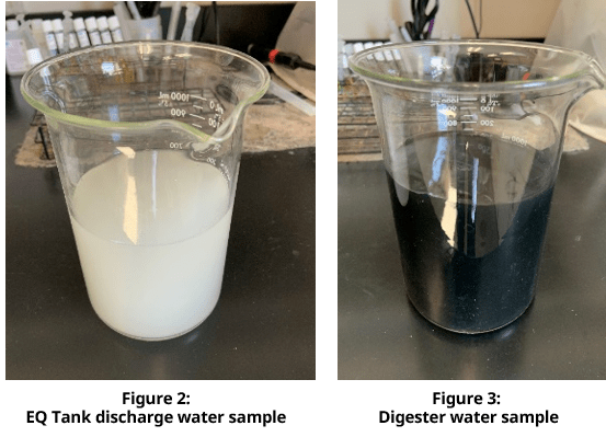 Figure 2 and Figure 3